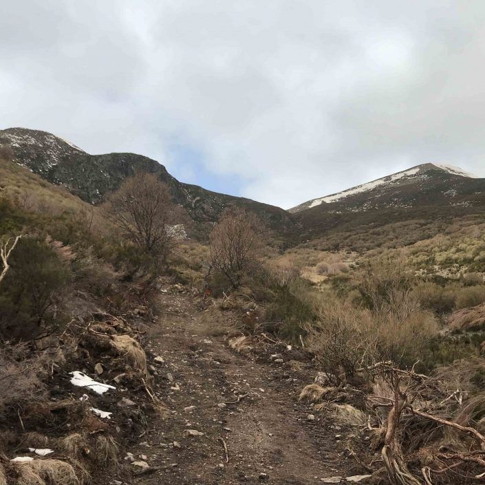 camino chozo urdiales